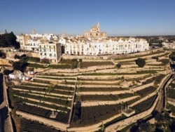 b41f1404-0e3d-4d2a-a90f-47fed492d843