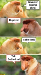 1ece4c67-7630-4ca9-90c1-9ccb50e95b77