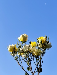 7fb15240-12e2-4cdc-9d0f-d63fca5115dd