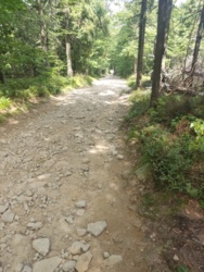 5bb186ad-c719-4fba-bac1-b030652dacc7