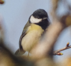 f0859207-166a-4630-938f-78518f9e8a2e