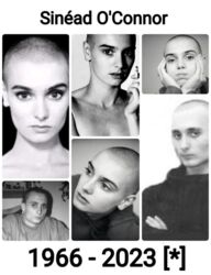 9a2eb892-a37a-4928-97c5-1a7bc04fbb2c