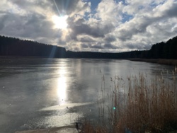 9805a4eb-1ab1-4440-8ee9-d49842753bad