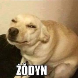 eb77759b-b3b7-47c6-83e8-487f49045281