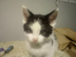 40a63130-d14d-4736-a11d-11ec0902b088