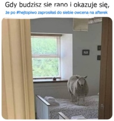 c63a3e7e-f4fd-4f19-94a6-123ba6b0241e