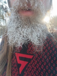 df1eff13-7bcd-4fb3-b0c6-54358ba5ca4f