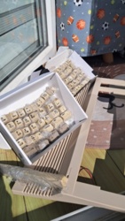 6f0dca43-1d5c-4dd8-a9c6-fb954946360b