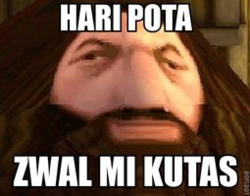 3ac146d6-5d83-4363-b3ef-a57c5a958cf2