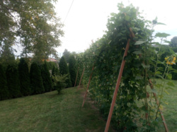 f2f38c47-2ee2-4c34-b18e-98f02e7ce601