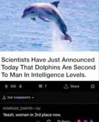 4d90b1d5-6481-42c1-9395-0efe847220ed