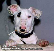 8b9d7f7c-963f-41d4-9ec0-ef5c1c767478