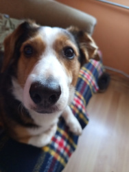 e2f6c973-bf2b-4b6c-9ccf-5da1e3826f6a