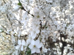 b6faacfa-8f00-4193-a60e-c10c44d74926