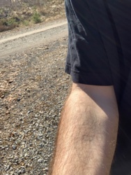 ad4f65b1-1751-42b0-bd32-e67e03ffa020