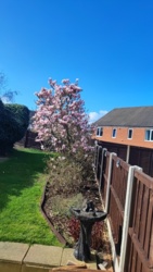 822568f8-fcf1-4a50-a957-7376baafe517