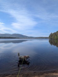 acc5f391-2ba3-45bc-8972-6ebfe3fa0ec5