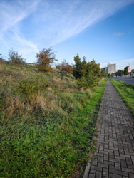 766e7ba8-0e1a-4c89-ae27-d729e470b9cc