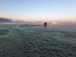 98f397e7-520c-4fb0-961f-6ad5393d82be