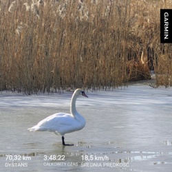 ca0aa41b-b037-4ea0-8f94-79a3205a8f80