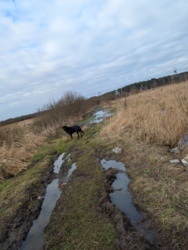 6075a7bf-77f7-404a-adb3-7e38102c5866