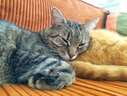 6f5bd919-2d5f-4f2d-a4fd-05a6dcdb3914