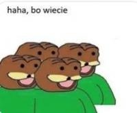 9c558e5f-0bc5-4506-af3e-61836e5d2522