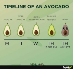 34cb3bb7-64e8-4516-b68f-c9fef6a74b0b