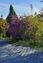 781e845a-f952-4f04-acca-21ae148572a8