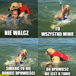 e0b2dca0-083e-42d8-9175-e73869693fa0