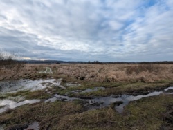 131db9be-b902-4b44-adf0-5764c8272564