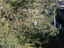 38c794cf-7125-465b-af9f-53c945a37b62