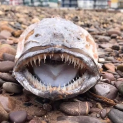 7bd1222e-2146-4a2d-ba6f-389ae2becf65