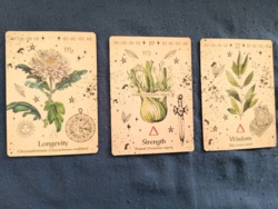 690ecea9-809e-4b40-989b-e8bd292a01d7