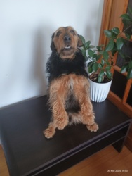 18dc0de2-1a53-4f8b-9f9b-229427471f30