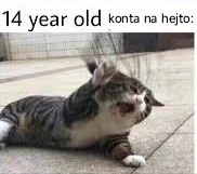 93c08ba3-4588-41e6-98bd-065df4de0633