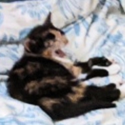 494d5fad-7995-4ff8-bc83-b89789f73ffd