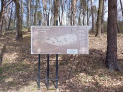 d04cf915-7a08-488c-a7f9-6040137cbc11