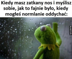 77384be0-3ace-46af-851e-a82d63cf24fc