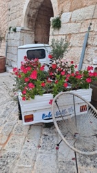 9f0fac61-685c-45c8-8abb-dacf98055f06