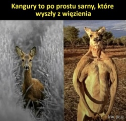 78f40e64-aa6c-478e-be1b-b1172b573d4c