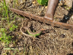 589cb2d4-0ae0-42ef-b85d-c2d135e2f8da