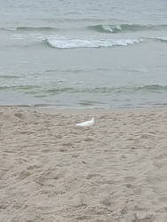 8e96b8c8-f4e4-4501-a482-4e76c47e7555