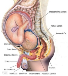 35d240f4-486d-4950-95d9-db17a2538241