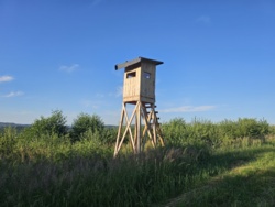 132a7512-cf94-4f49-8f84-b837c219c29d