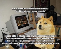 77cd9264-f912-48e3-be6c-ea4fb2534989