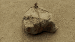 d9338a1b-78ee-4404-95fa-a4580e6c2dde