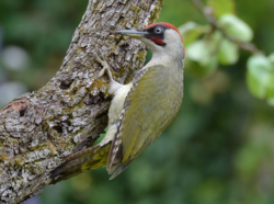 da1686f1-8bbe-4326-a4db-e3e2dfefd7eb