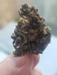 72febf96-f3f3-45cb-9ede-d33b714281b5