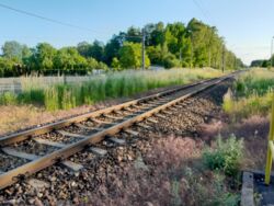 6ce067ca-ef06-4d4e-a634-7c9c3d68995f